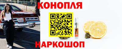 spice Рязань