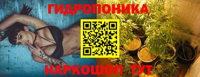 СК Рыбинск