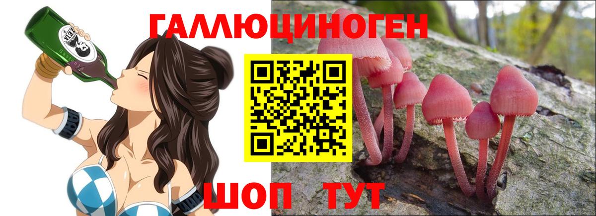 как найти закладки  Вход с VPN  Полевской  Галлюциногенные грибы Magic Shrooms 